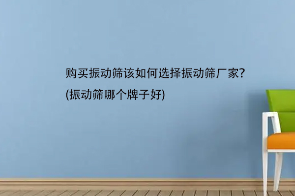 购买振动筛该如何选择振动筛厂家？(振动筛哪个牌子好)